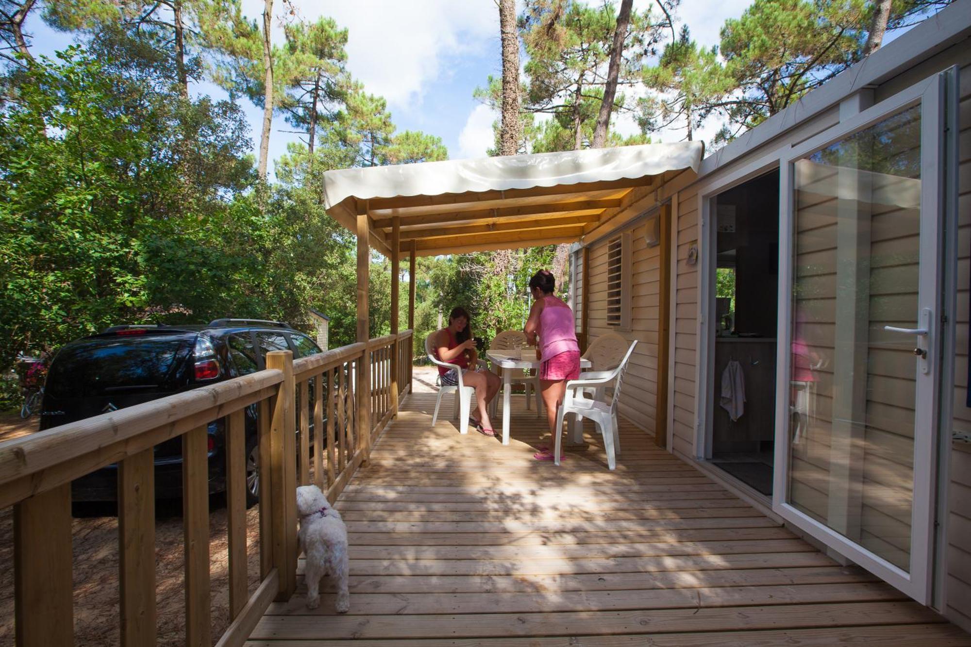 ホテル Les Pins De La Coubre レ・マトゥ 部屋 写真